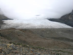 alcolumbianicefields.jpg