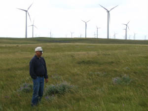 allarryfrithwindfarm.jpg