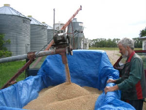 cmgehardwheatmennonitefarm.jpg