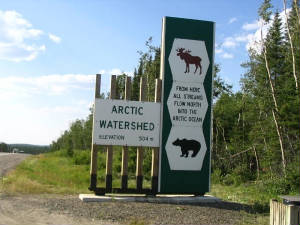 coarticwatershed.jpg