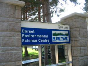 dorsetscilabsign.jpg