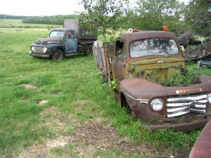 m11oldcarfarmyard.jpg