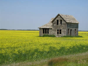 s1oldhouseincanolafield.jpg